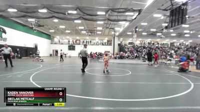 45 lbs Champ. Round 1 - Declan Metcalf, EXCELSIOR SPRINGS vs Kaden Vanover, Dexter Youth Wrestling