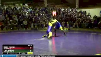 141 lbs Cael Happel, Northern Iowa vs Cody Phippen, Air Force