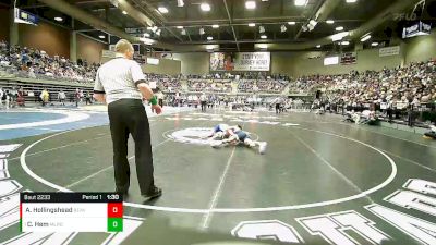 2A 138 lbs Semifinal - Conner Hem, Millard vs Andrew Hollingshead, Beaver