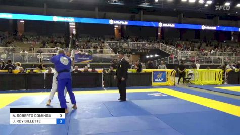 ADRIEN ROBERTO DOMINGUES vs JAMES ROY GILLETTE 2024 Pan Jiu Jitsu IBJJF Championship