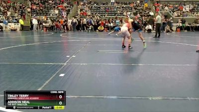 91 lbs Cons. Semi - Addison Neal, The Best Wrestler vs Tinley Terry, Nebraska Wrestling Academy