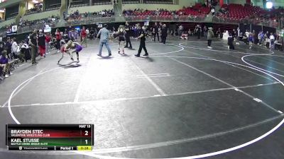 85 lbs Semifinal - Kael Stusse, Battle Creek Brave Elite vs Brayden Stec, Valentine Wrestling Club