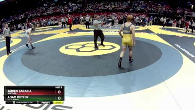 D1-132 lbs Semifinal - Jaiden Sarabia, Whitmer vs Adam Butler, St. Edward