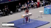 Erich Upton - Pommel Horse, Iron Cross Gym - 2021 US Championships