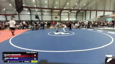 132 lbs Cons. Round 3 - Elijah Cervantes, WA vs Ares San Juan, CA