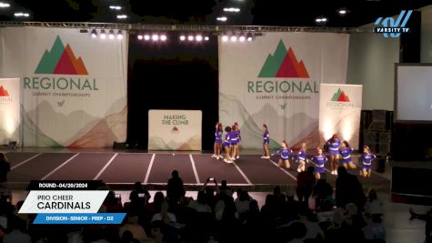Pro Cheer - Cardinals [2024 L2.2 Senior - PREP - D2 04/20/2024] 2024 The Southeast Regional Summit