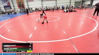 52 lbs Rd# 10- 4:00pm Saturday Final Pool - Kaiden Galindez, Team Michigan vs Lorenzo Palfy, Team Ohio