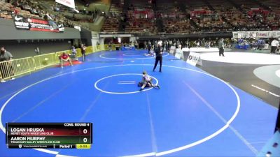 63 lbs Cons. Round 4 - Logan Hruska, Hemet Youth Wrestling Club vs Aaron Murphy, Tehachapi Valley Wrestling Club