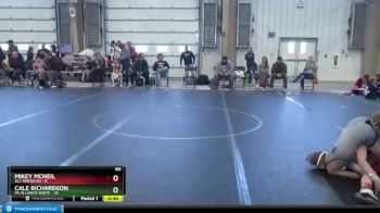 80 lbs Round 4 (8 Team) - Mikey McNeil, All American vs Cale Richardson, PA Alliance White