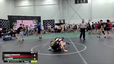 98 lbs Round 4 (8 Team) - CJ CAINES, Flickr Boyz Blackbeards vs Logan Forgatch, Scorpions