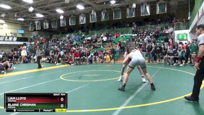 175 lbs Quarterfinal - Liam Lloyd, MENTOR vs Blaine Chrisman, MEDINA