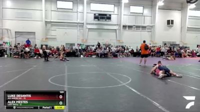 120 lbs Round 6 (8 Team) - Luke DeSantis, All American vs Alex Mestes, Lost Boyz