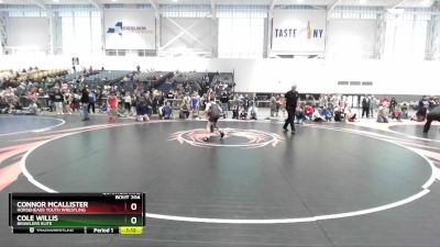 81 lbs Quarterfinal - Connor McAllister, Horseheads Youth Wrestling vs Cole Willis, Brawlers Elite