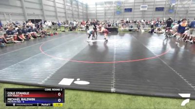 160 lbs 2nd Wrestleback (16 Team) - Cole Stangle, New Jersey vs Michael Baldwin, Michigan Red