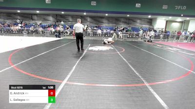 138 lbs Round Of 32 - Gunner Andrick, WV vs Lorenzo Gallegos, NM