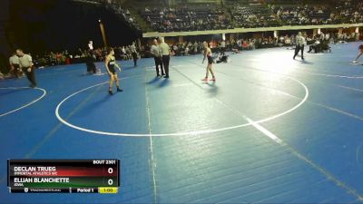 92 lbs Cons. Semi - Declan Trueg, Immortal Athletics WC vs Elijah Blanchette, Iowa