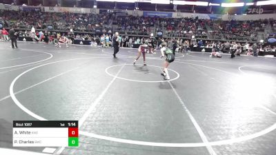 120.3 lbs Quarterfinal - Alana White, King Select vs Payton Charles, Bobcat Wrestling Club