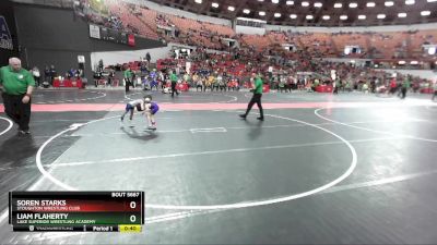 51 lbs 5th Place Match - Soren Starks, Stoughton Wrestling Club vs Liam Flaherty, Lake Superior Wrestling Academy