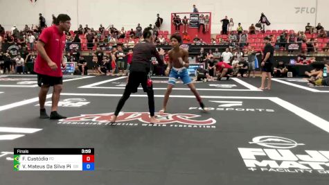 Frederico Custódio vs Vitor Mateus Da Silva Piffer 2024 ADCC Sao Paulo Open