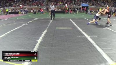 D1-175 lbs Cons. Round 1 - Dylan Meduna, Caledonia vs Tristen Arnold, Anchor Bay HS