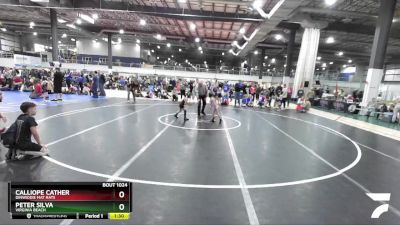 45 lbs Semifinal - Calliope Cather, Dinwiddie Mat Rats vs Peter Silva, Virginia Beach