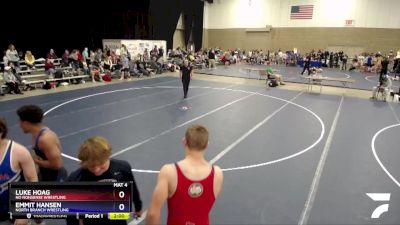 170 lbs Quarterfinal - Luke Hoag, No Nonsense Wrestling vs Emmit Hansen, North Branch Wrestling