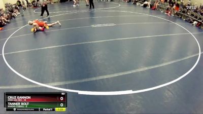 90 lbs Round 3 (6 Team) - Cruz Gannon, Iowa USA Red vs Tanner Bolt, Kansas Cobras