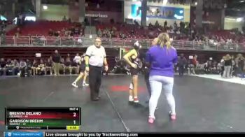 113 lbs Round 3 (8 Team) - Brenyn Delano, Columbus vs Garrison Brehm, Waverly