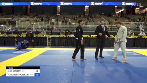 KEVIN GHODRATI vs ALEX ROBERT WASECHEK 2024 Pan Jiu Jitsu IBJJF Championship