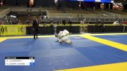 ANDREW J LESHOVSKY vs NAVARRO JOSEPH CHAMBERLAIN 2024 Pan Jiu Jitsu IBJJF Championship