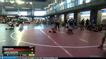 80 lbs Finals (2 Team) - Eddie Polk, Storm vs Jaxon Mancuso, Predator Wrestling