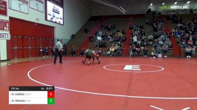 133 lbs Semifinal - Anthony Cefolo, Rider University vs Andy Schutz, Bloomsburg University