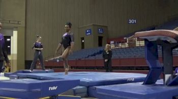Arianna Patterson - Vault, Metroplex Gymnastics - Metroplex Challenge (Club)