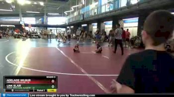 40 lbs Round 5 (10 Team) - Link Blair, Panda Wrestling Academy vs Adelaide Wilbur, Predator Wrestling