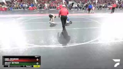 95 lbs Semifinal - Brody Betker, Rosholt vs Abel DeGross, Spring Valley