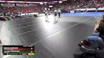 D2-170 lbs Champ. Round 1 - Brogan Brewer, Prairie Du Chien vs Tucker Brockman, Freedom