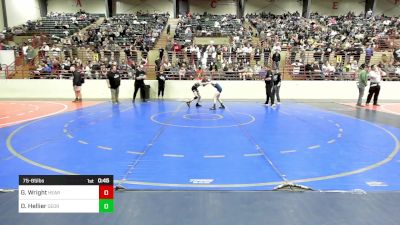 75-85 lbs Quarterfinal - Gage Wright, Heard Wrestling Club vs Daniel Hellier, Georgia