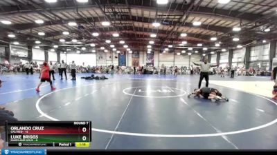 60 lbs Rd# 10- 4:00pm Saturday Final Pool - Luke Briggs, Maryland GOLD vs Orlando Cruz, Cali Red