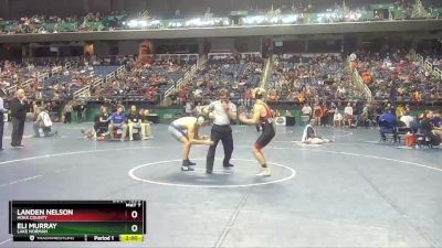 4A 132 lbs Semifinal - Eli Murray, Lake Norman vs Landen Nelson, Hoke County