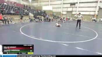 67 lbs Quarters & Wb (16 Team) - Dillon Wright, Stout vs Maddox Anderson, Idaho 2
