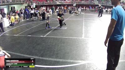 48-49 lbs Quarterfinal - Charlee Lane, Nebraska vs Andi Anderson, Sutherland Youth Wrestling Club