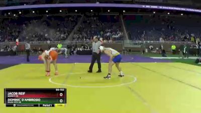 D3-132 lbs Cons. Round 3 - Dominic D`Ambrosio, Imlay City HS vs Jacob Reif, Quincy HS