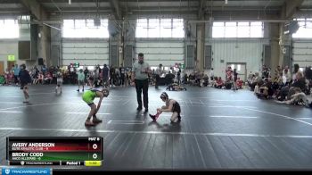 60 lbs Round 2 (6 Team) - Avery Anderson, Elite Athletic Club vs Brody Codd, AACO Allstars