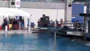 Replay: 1 Meter Springboard - Black - 2022 AAU Diving National Championships | Jul 19 @ 3 PM