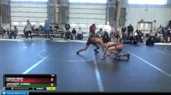 130 lbs Round 5 (8 Team) - Logan Reed, Mat Assassins vs Anthony Juarez, 84 Athletes
