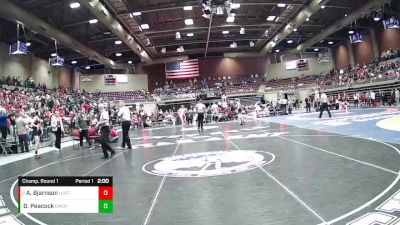 Champ. Round 1 - Aydin Bjarnson, North Sanpete vs Dixon Peacock, Emery