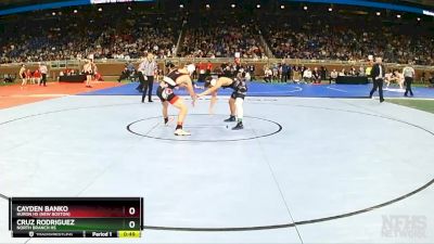 D2-132 lbs Cons. Round 1 - Cruz Rodriguez, North Branch HS vs Cayden Banko, Huron HS (New Boston)