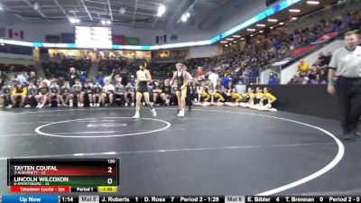 120 lbs Quarterfinal - Tayten Coufal, 3-Alburnett vs Lincoln Wilcoxon, 6-Emmetsburg