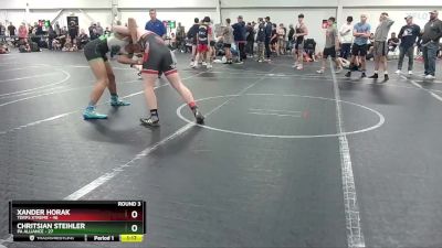 210 lbs Round 3 (8 Team) - Chritsian Steihler, PA Alliance vs Xander Horak, Terps Xtreme