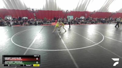 113 lbs Quarterfinal - Henry Gaschler, Askren Wrestling Academy vs Anthony Nichols, Edina Wrestling Club (Assoc.)